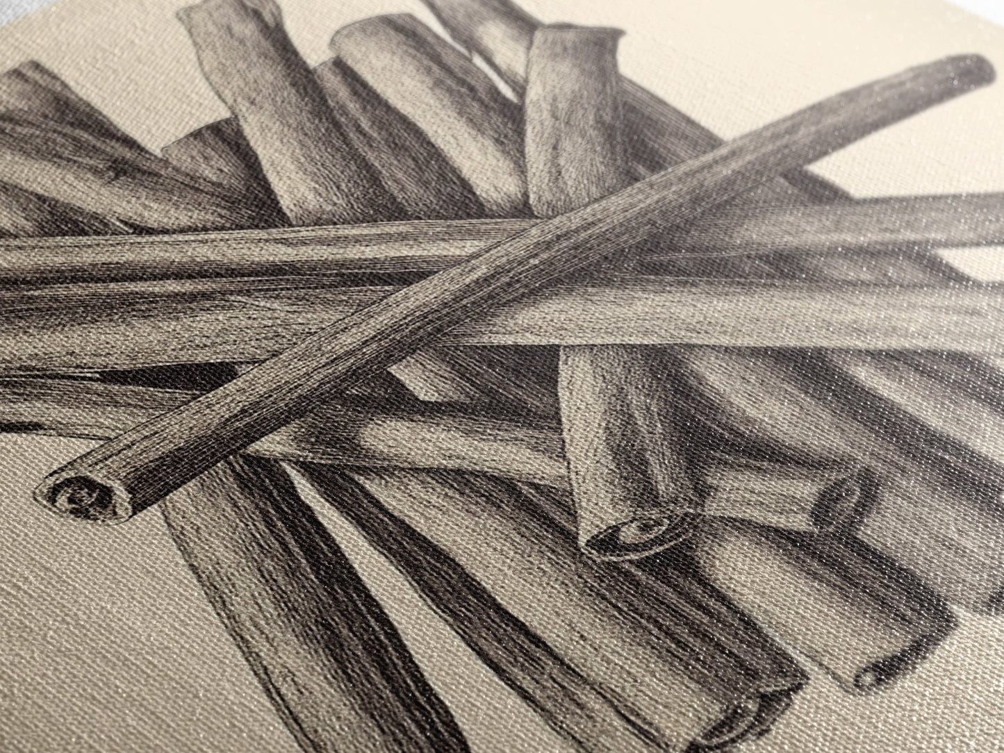 Retro Cinnamon Sticks Canvas Print - Framed Canvas - Minimalist Christmas Art - Boho Christmas Art - Rustic Christmas Art