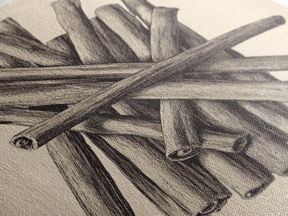 Retro Cinnamon Sticks Canvas Print - Framed Canvas - Minimalist Christmas Art - Boho Christmas Art - Rustic Christmas Art