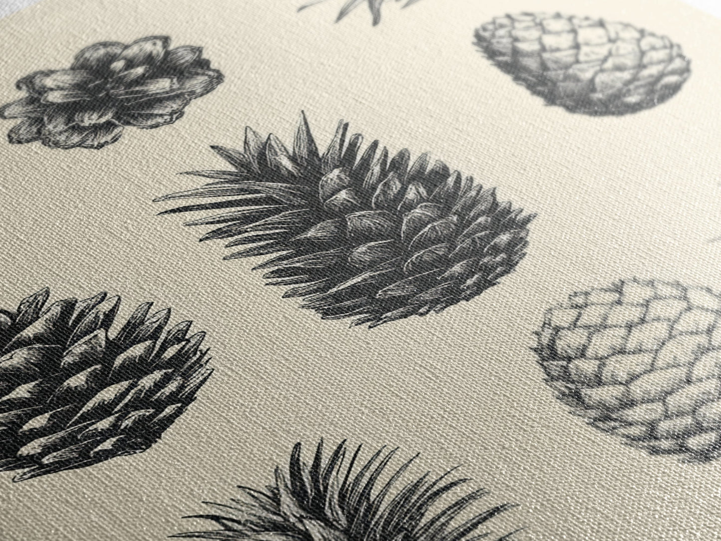 Christmas Pine Cones Canvas Print - Framed Canvas - Minimalist Christmas Art - Boho Christmas Art - Rustic Christmas Art - Pinecone Painting