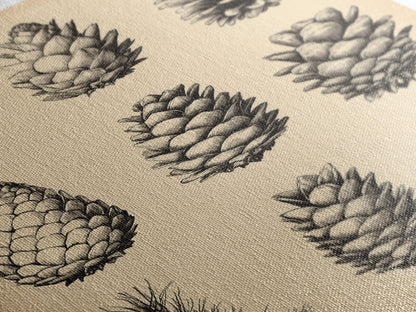 Vintage Pinecones Canvas Print - Framed Canvas - Minimalist Christmas Art - Boho Christmas Art - Rustic Christmas Art