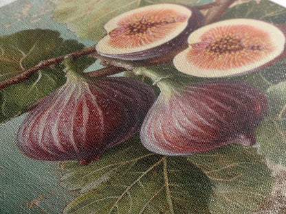 Fig Oil Painting Print In A Frame, Small Kitchen Art, Kitsch Kitchen, Eclectic Art, Fig Painting, Dining Room Decor, Kitchen Wall Art, Kitchen Decor