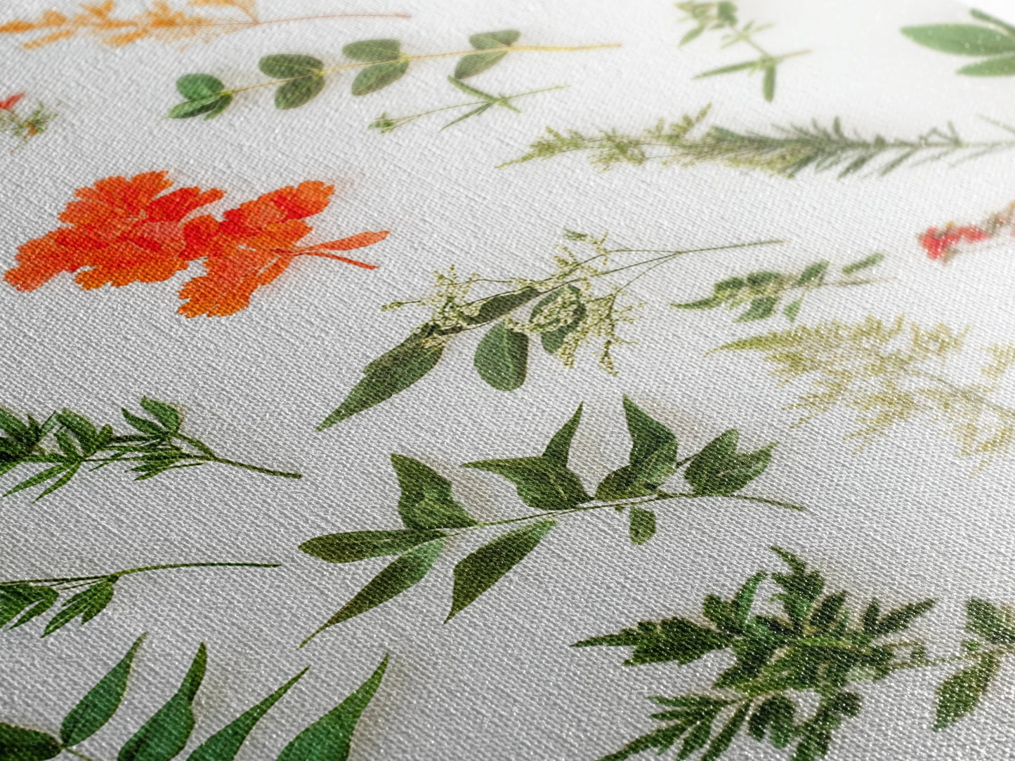 Boho Floral Botanical Wall Art Canvas Print, Minimalist Modern Farmhouse Home Decor, Living Room Wall Art, Bedroom Decor, Flower Print