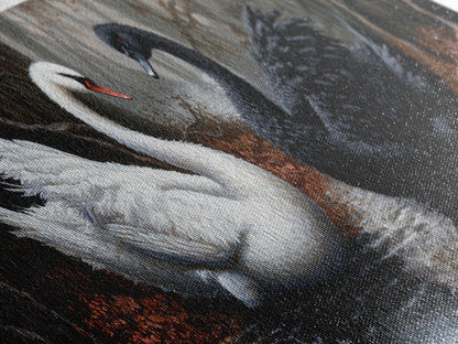 Black and White Swan Form  A Heart, Framed Canvas Print, Swan Painting, Black Swan Art, Dark Romance, Panoramic Art, Gothic Art