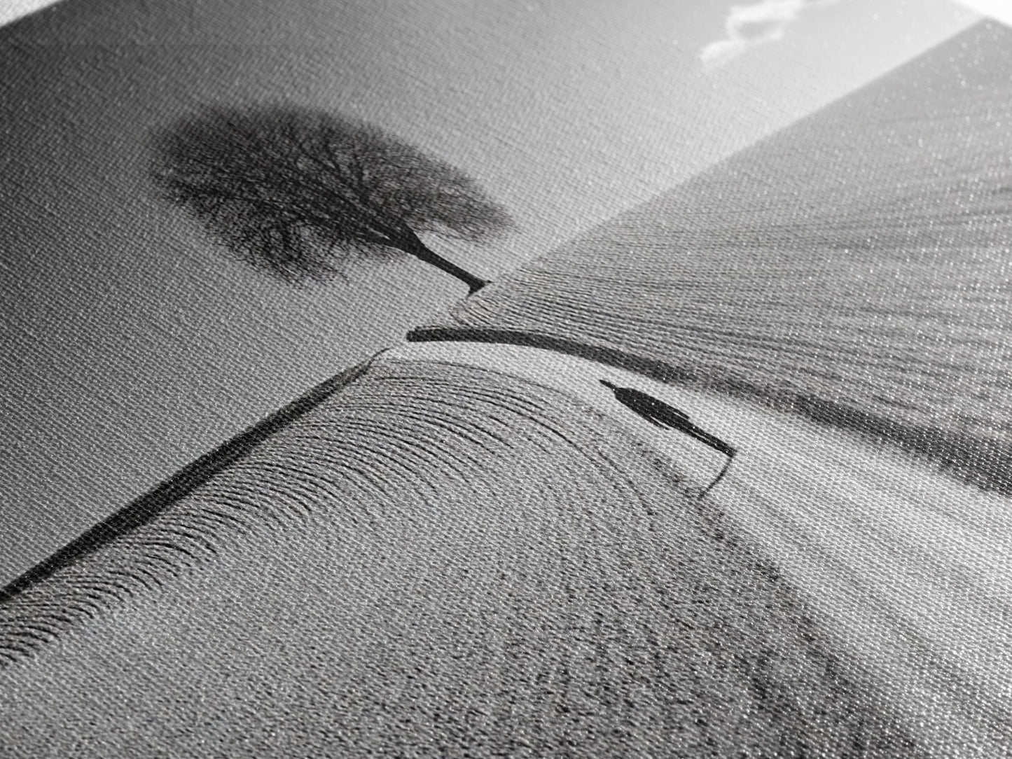 Black and White Photography Style Print - Framed Canvas Print - Subdued Home Decor - Ready to Hang Wall Art - Centerpiece Wall Art