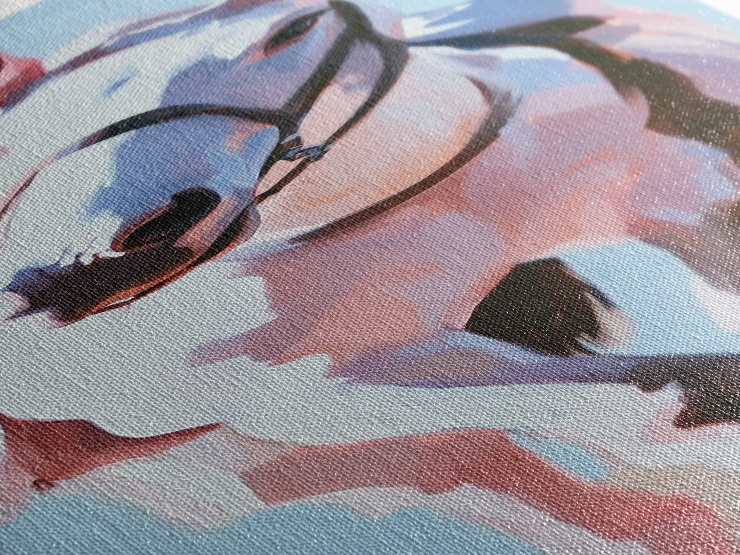 White Horse, Equestrian Art, Modern Farmhouse, Framed Canvas Print, Rustic Wall Art, Boho Western Style, Living Room Wall Art