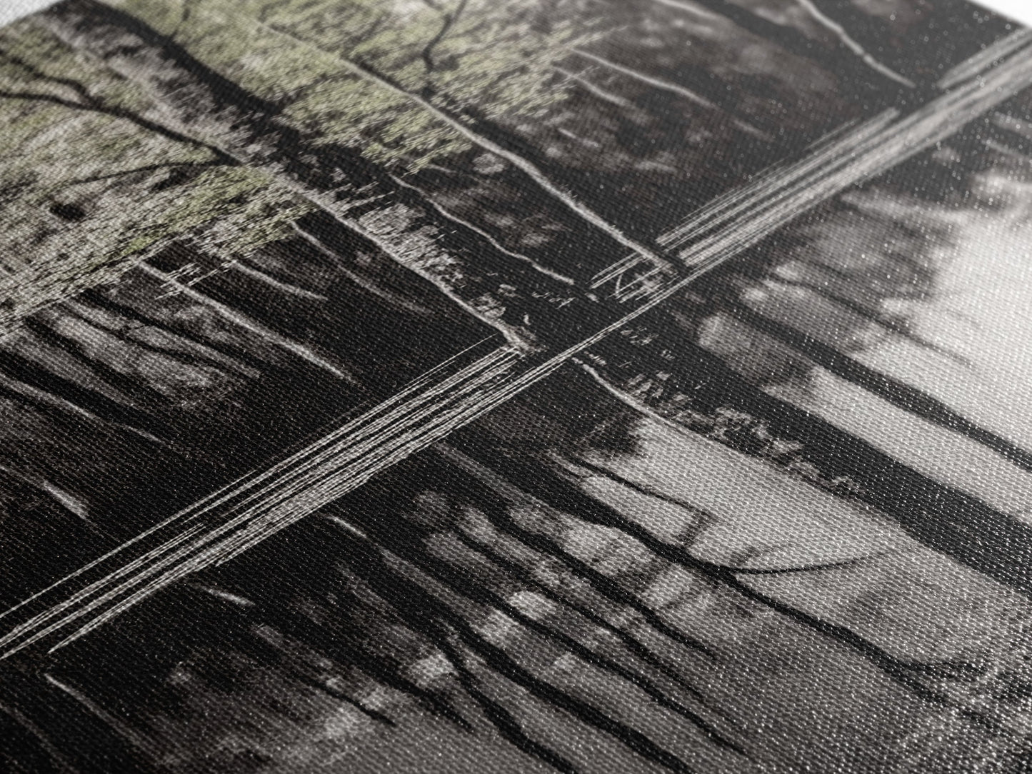 Reflective Trees, Monochrome Forest Painting, Minimalist Nature Art, Framed Canvas Print, Black and White Wall Art, Dining Room Decor