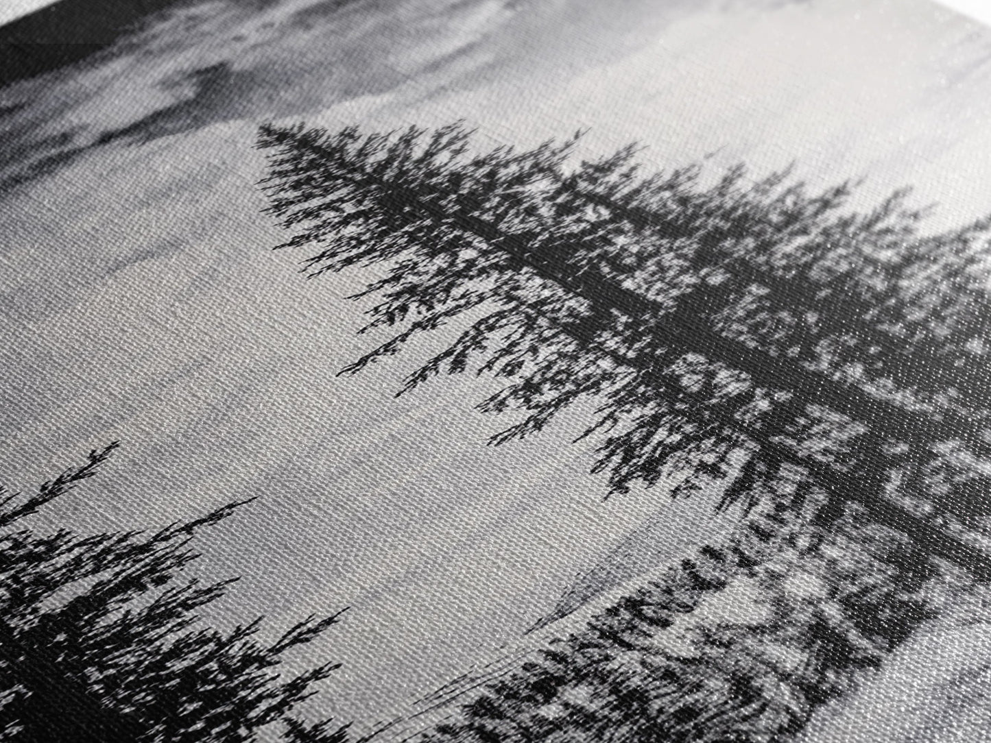 Black White Pine, Winter Forest, Nature Wall Art, Christmas Decor, Modern Minimalist, Monochrome Print, Framed Canvas Print