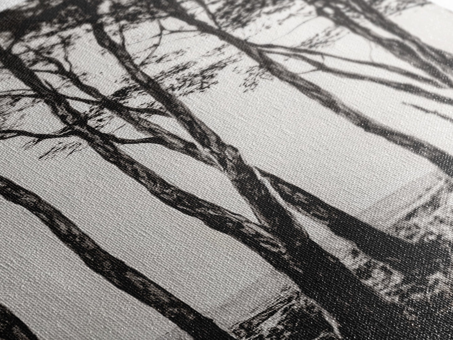 Tall Trees, Monochrome Forest, Tranquil Landscape, Framed Canvas Print, Nature Wall Art, Rustic Cabin Decor, Modern Minimalist Art