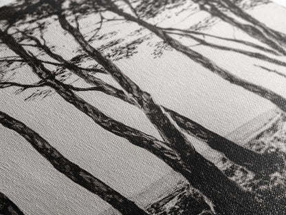 Tall Trees, Monochrome Forest, Tranquil Landscape, Framed Canvas Print, Nature Wall Art, Rustic Cabin Decor, Modern Minimalist Art