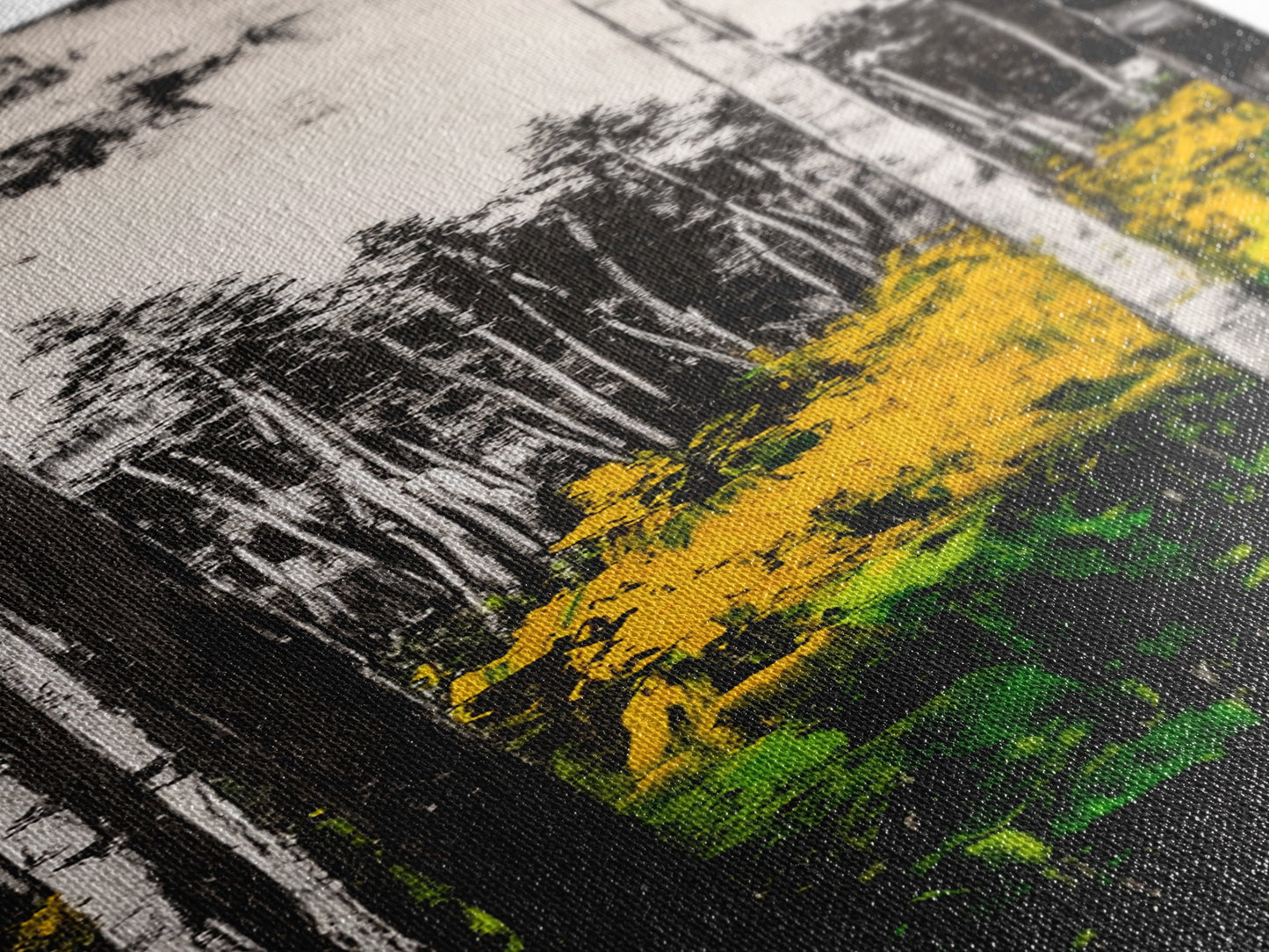 Birch Forest, Black and White Art, Nature Wall Art, Framed Canvas Print, Rustic Woodland, Farmhouse Decor, Living Room Artwork