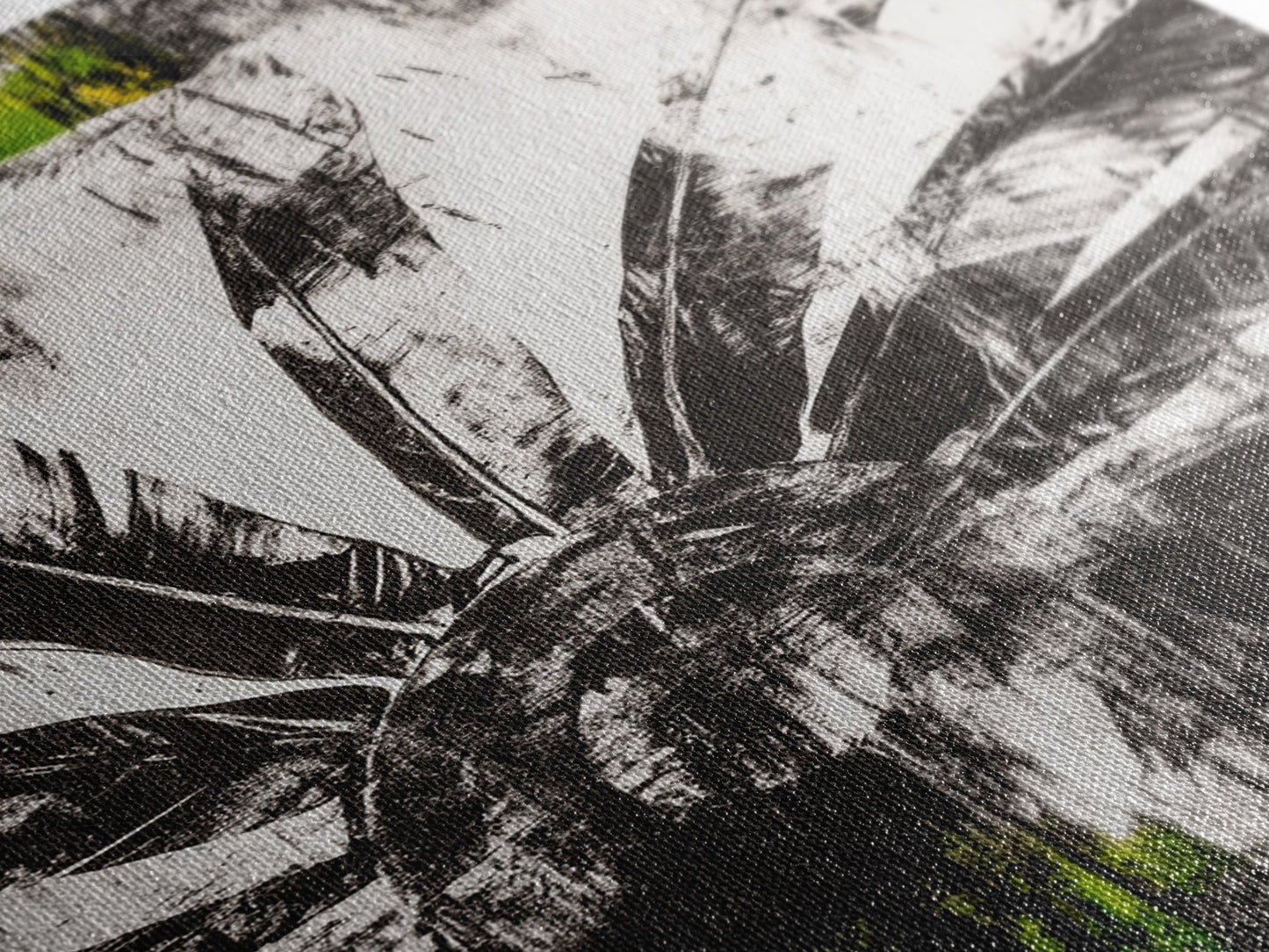 Sunflower, Black White Floral Art, Rustic Boho Decor, Farmhouse Wall Art, Nature Botanical Print, Framed Canvas Print