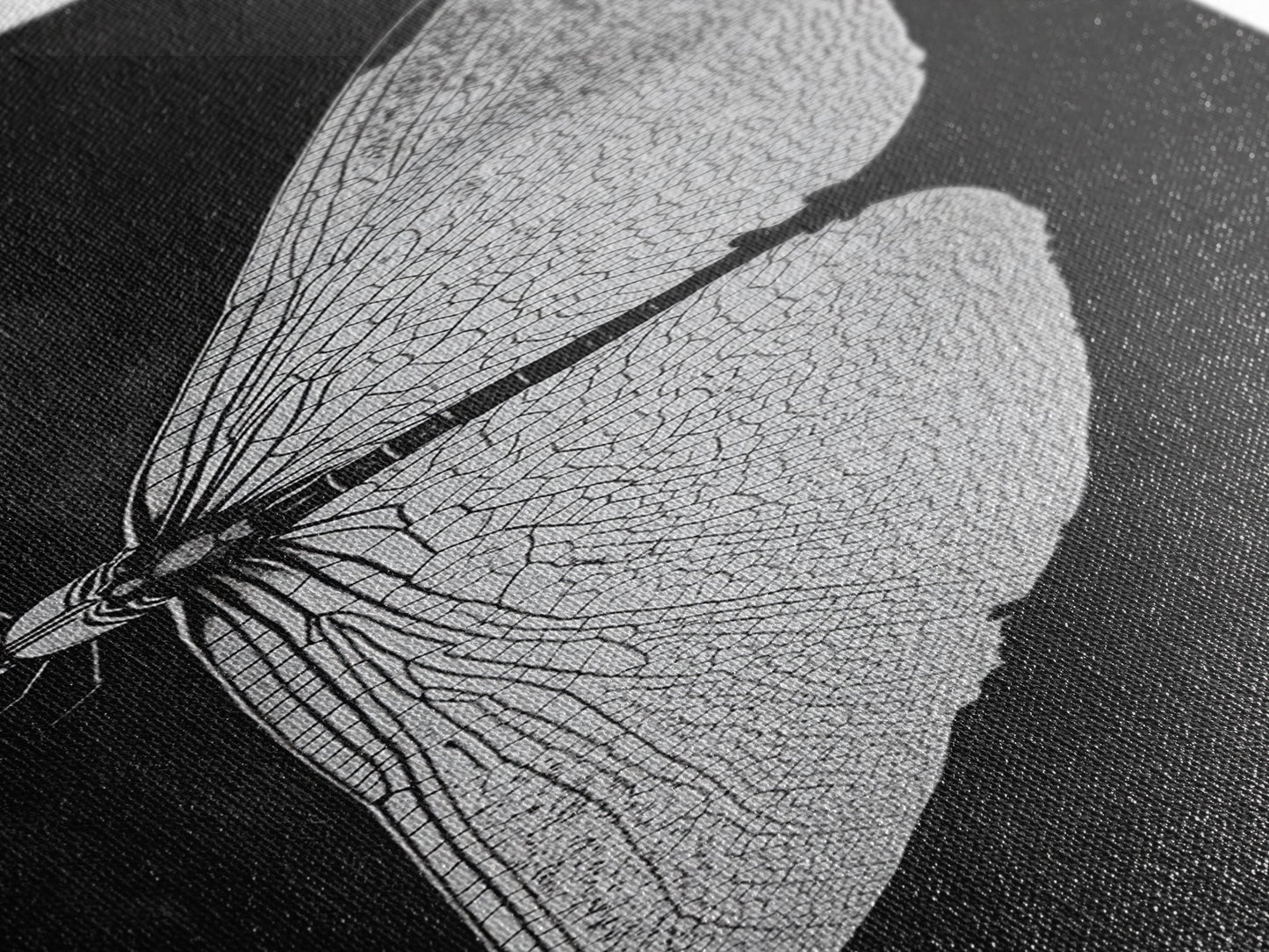 Dragonfly Wings Macro, Nature Insect Print, Detailed Bug Art, Minimalist Scientific Wall Decor, Framed Canvas Print, Study Room Art