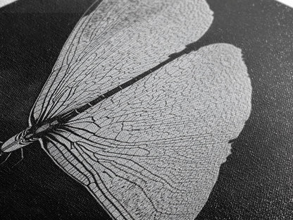Dragonfly Wings Macro, Nature Insect Print, Detailed Bug Art, Minimalist Scientific Wall Decor, Framed Canvas Print, Study Room Art