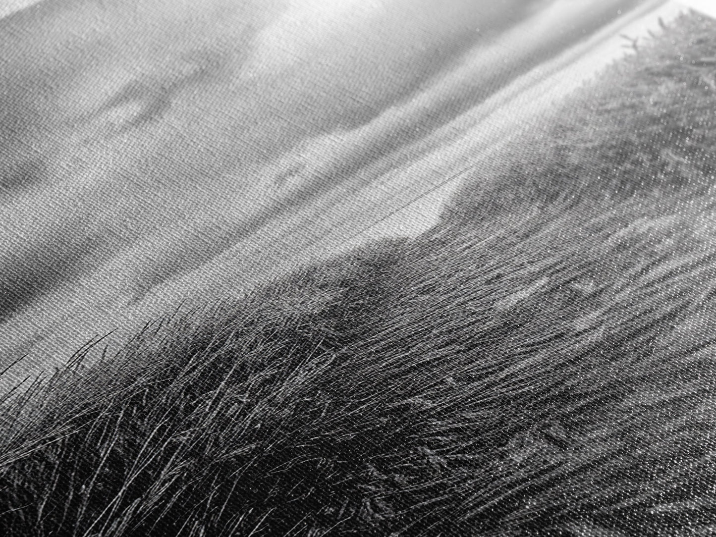 Wheat Field Trail, Countryside Autumn Path, Rustic Farm Landscape, Tranquil Earthy Wall Art, Bedroom or Hallway, Canvas Print