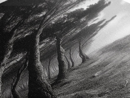 Windiger Waldweg, dunkle Küstenbäume, stimmungsvolle Natur, gerahmter Leinwanddruck, herbstliche Wanddekoration fürs Wohnzimmer, stimmungsvolle Landschaftsästhetik