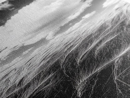 Wheat Field, Cloudy Sky, Rustic Landscape, Black and White Nature, Framed Canvas Print, Farmhouse Kitchen Wall Art, Fall Harvest Vibe