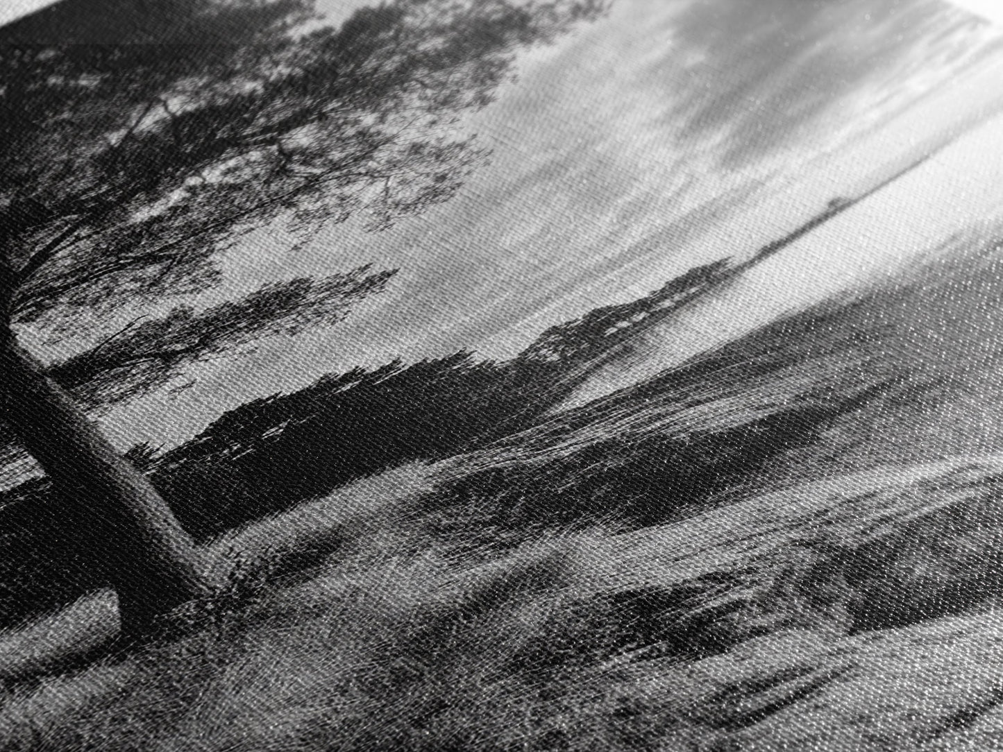 Coastal Tree, Ocean Horizon, Windswept Shore, Nature Calm, Moody Sky, Framed Canvas Print, Office Wall Art, Coastal Rustic Aesthetic