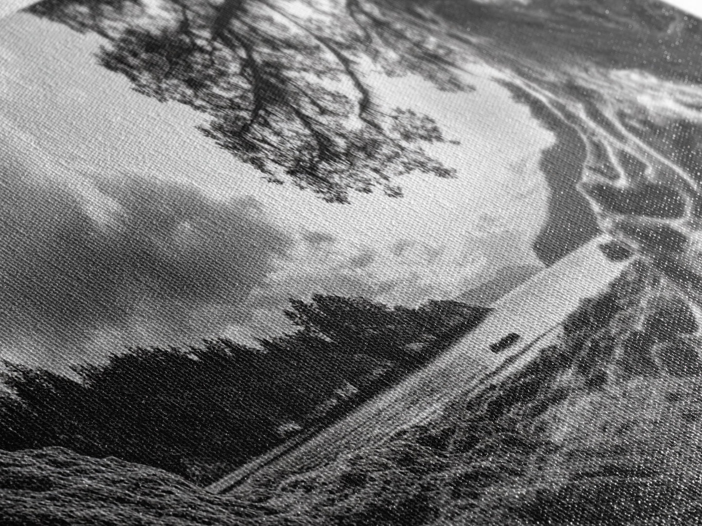 Coastal Tree Roots, Ancient Forest Shore, Pacific Northwest Nature, Moody Black and White Canvas Print, Cabin Wall Art, Woodland Style