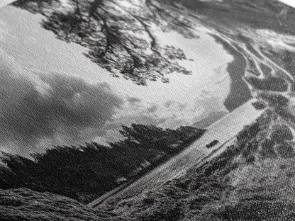 Coastal Tree Roots, Ancient Forest Shore, Pacific Northwest Nature, Moody Black and White Canvas Print, Cabin Wall Art, Woodland Style