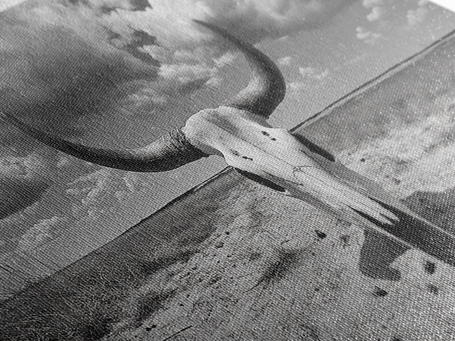 Cow Skull, Desert Bones, Wild West Skull, Country Vibe Decor, Canvas Print, Western Wall Art, Rustic Bedroom or Hallway Accent