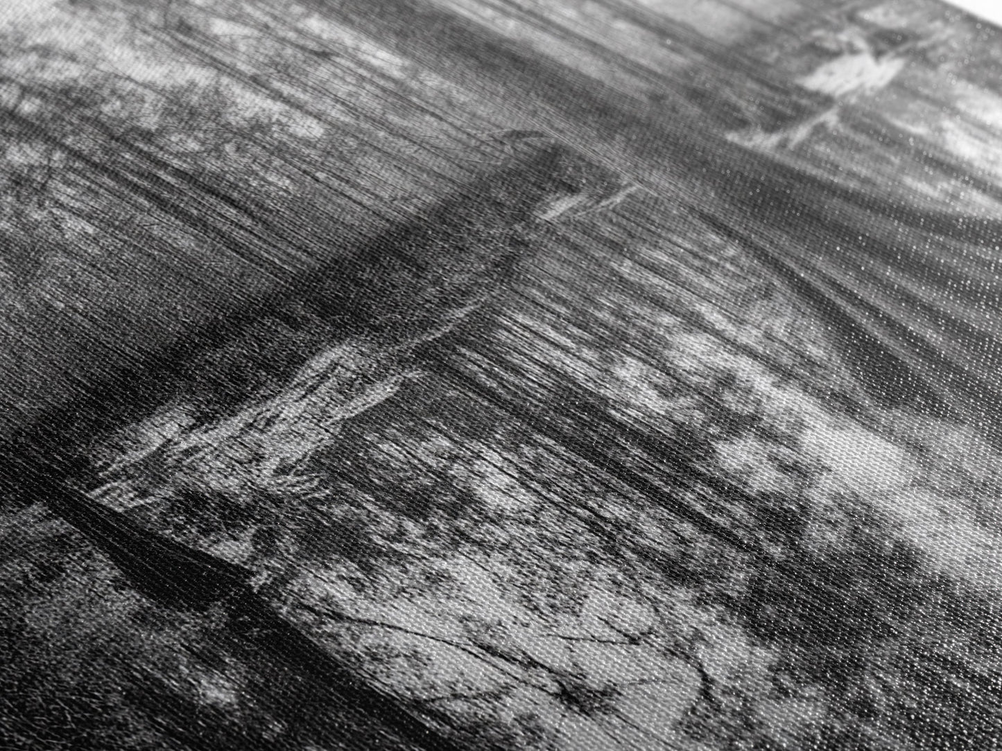 Sumpfbäume, Zypressenwasser, Naturspiegelungen, Marschlandschaft, gerahmter Leinwanddruck, rustikale Hüttendekoration, Wandbild für den Flur, Waldmotiv