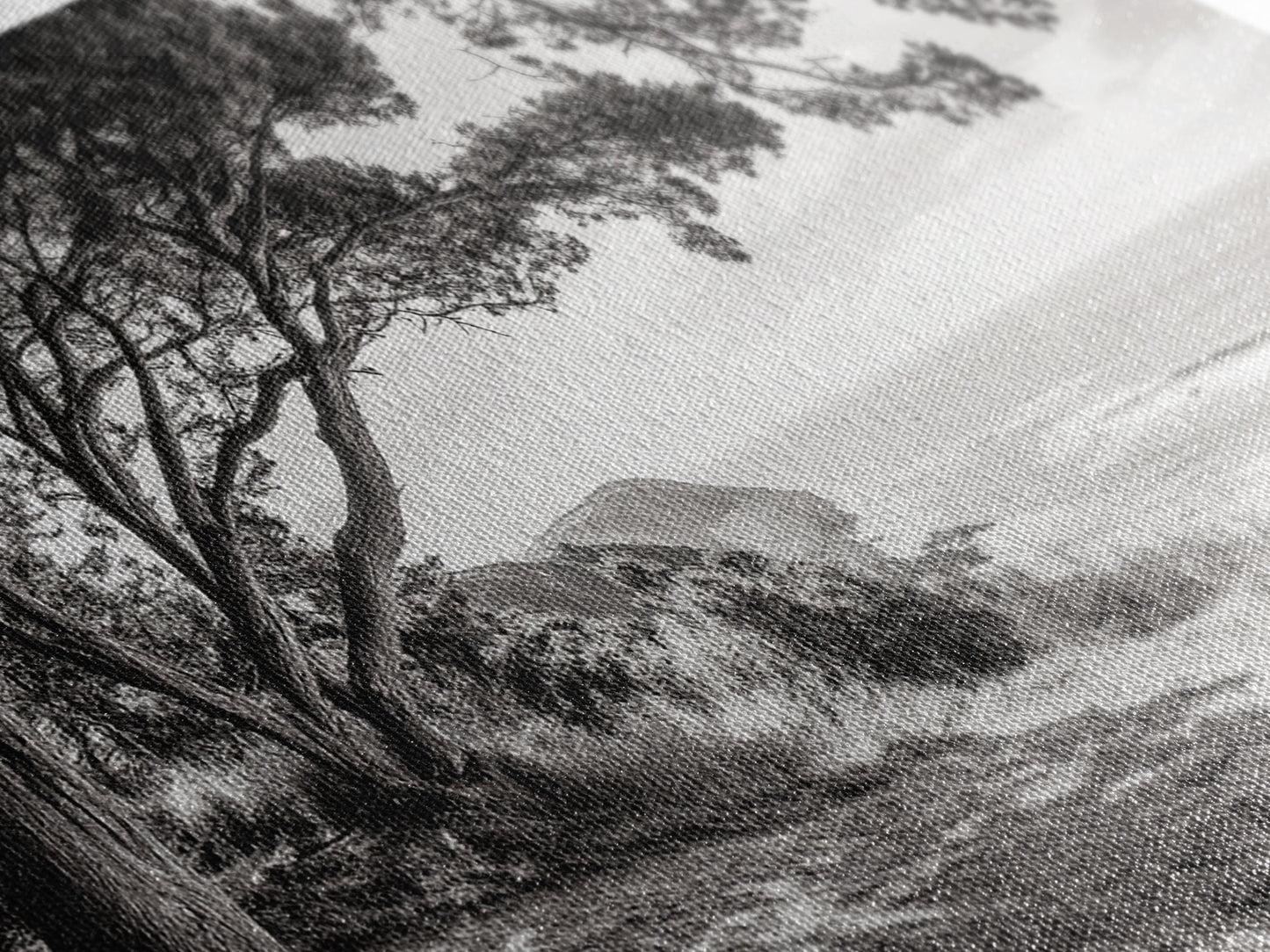 Ocean View, Coastal Trees, Cliffside Vista, Light and Shadows, Framed Canvas Print, landscape wall art, modern beach decor, boho living room