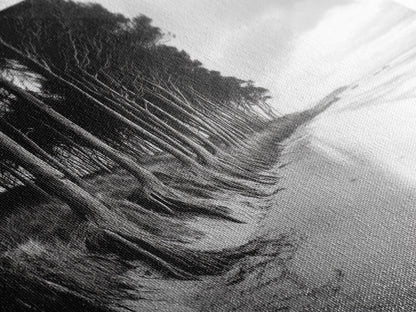 Kiefern, Sandstrand, Küstenidylle, Treibholzstrand, gerahmter Leinwanddruck, neutrale Wandkunst, rustikaler Küstenstil, Eingangsbereich-Landschaft