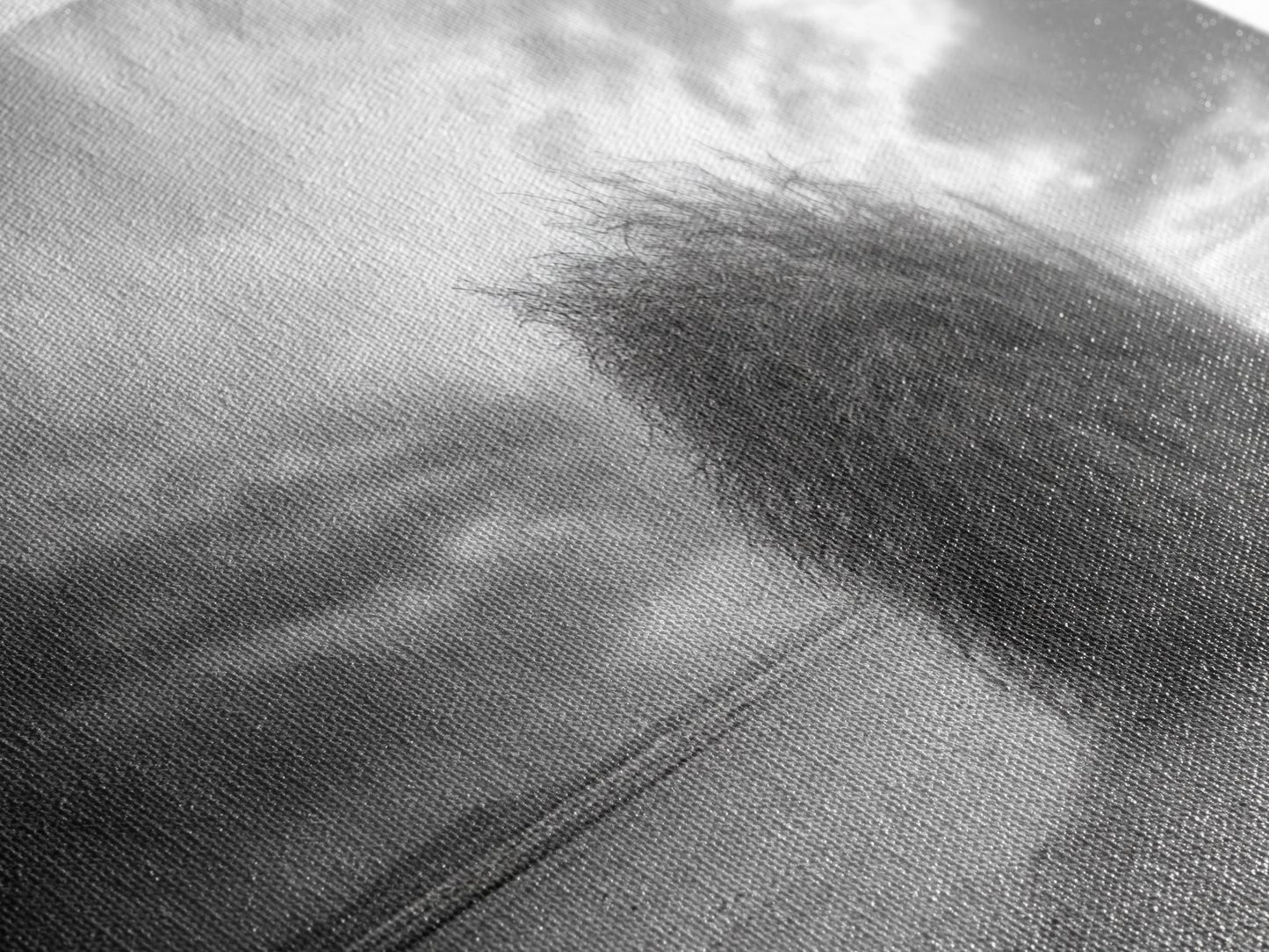 Tumbleweed, Desert Beach, Moody Sky, Solitary Calm, Framed Canvas Print, minimalist desert wall art, western Fall decor, neutral tones