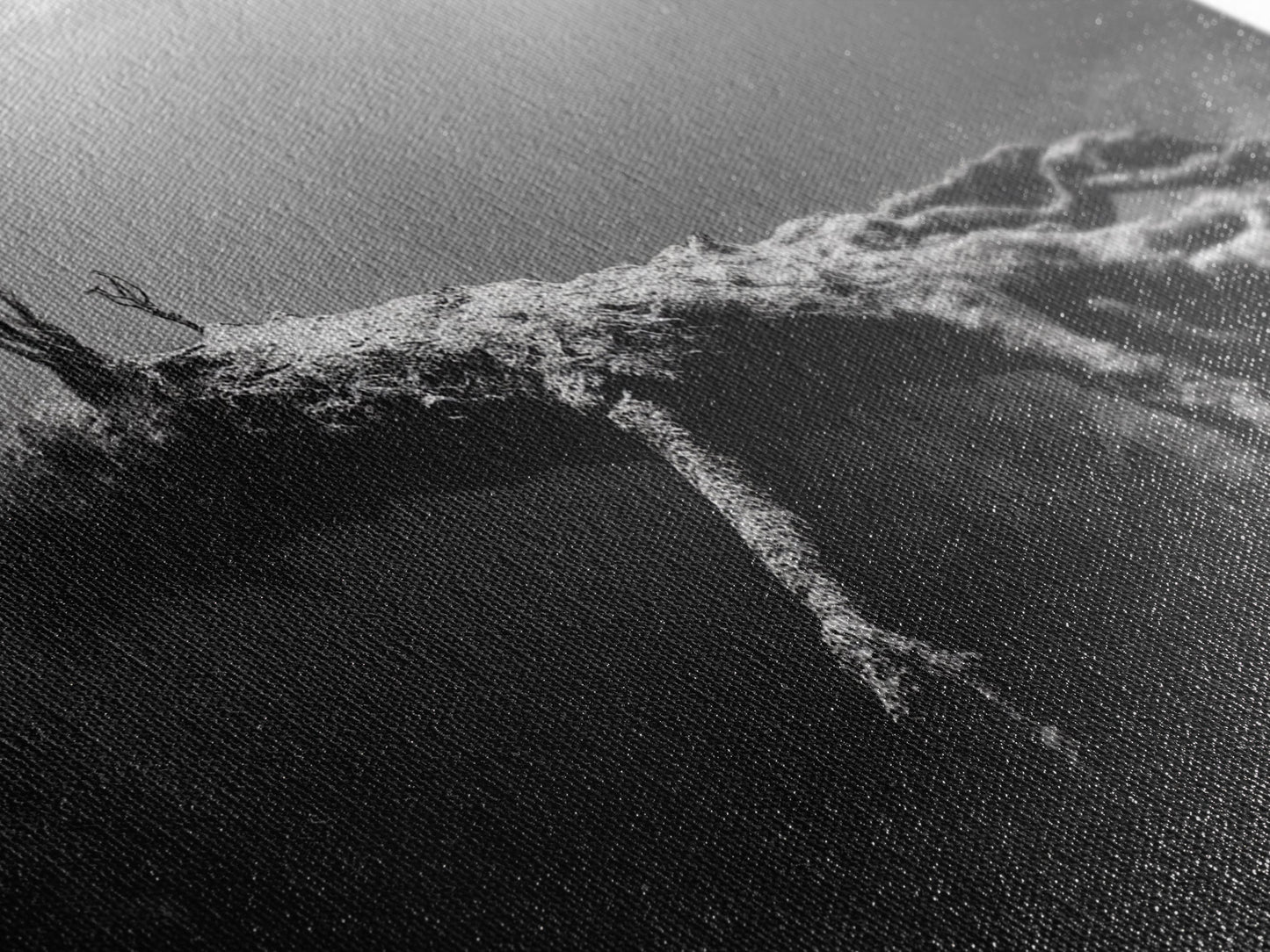 Underwater Tree, Ocean Roots, Nature Surrealism, Canvas Print, Moody Nautical Decor, Bathroom Wall Art, Black And White Abstract Art