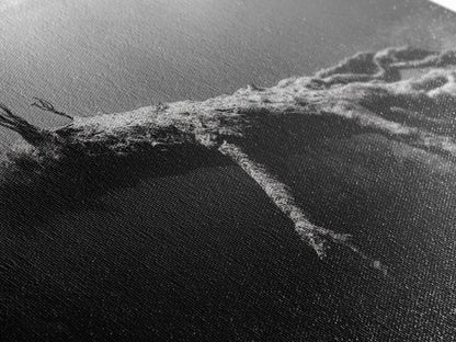 Underwater Tree, Ocean Roots, Nature Surrealism, Canvas Print, Moody Nautical Decor, Bathroom Wall Art, Black And White Abstract Art