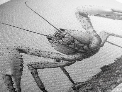 Crab Art, Beach Creature, Monochrome Photography, Nature Close-Up, Framed Canvas Print, Coastal Bathroom Art, Marine Home Style