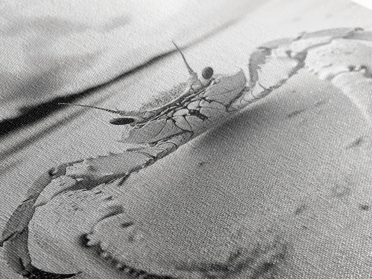 Beach Crab Portrait, Closeup Ocean Art, Tropical Minimalism, Coastal Creature Photo, Framed Canvas Print, Bathroom Wall Decor, Marine Decor