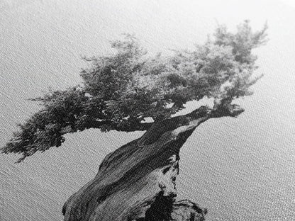 Bonsai Tree, Windswept Wood, Minimal Zen, Canvas Print, Japanese Style Art, Wabi Sabi Decor, Monochrome Botanical Wall Accent