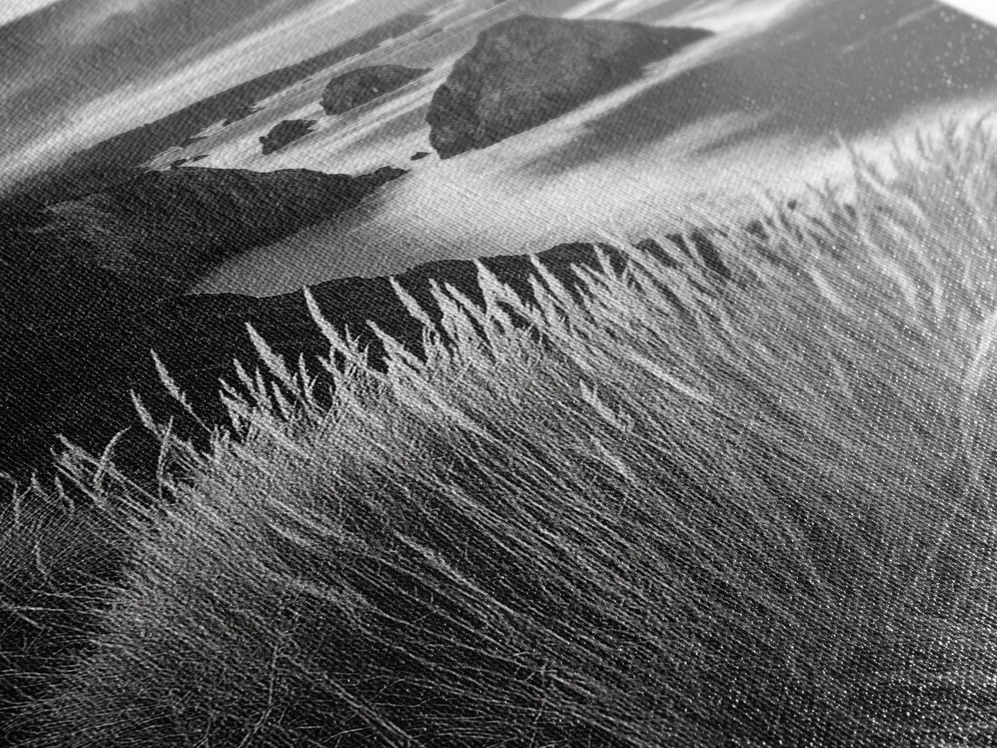 Coastal Cliffs, Ocean Rocks, Tall Grass, Canvas Print, Windswept Landscape Art, Beach House Wall Decor, Monochrome Nature Scene