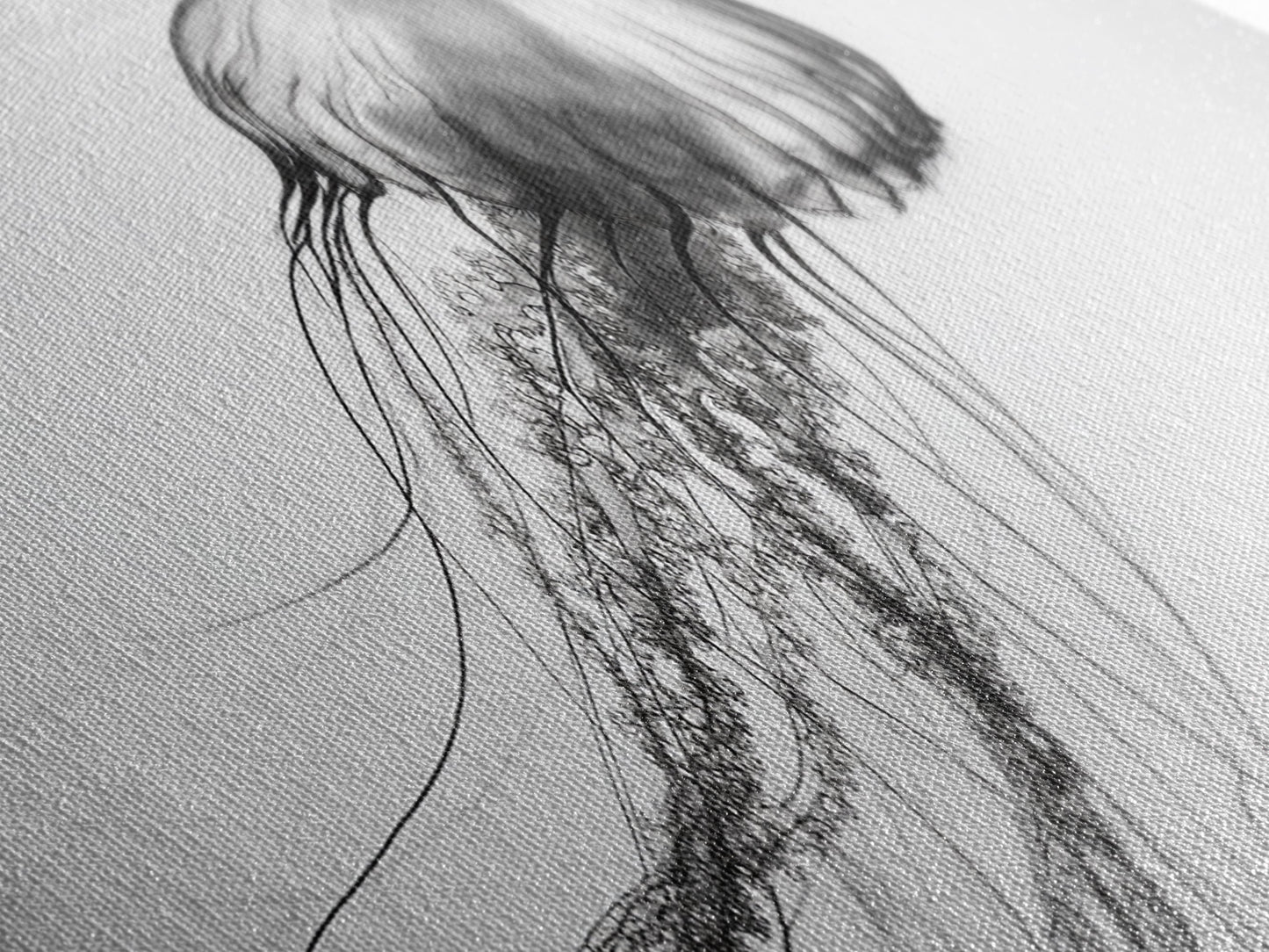 Quallen, Meeresströmung, Unterwasserwelt, Leinwanddruck, Wanddeko mit Meeresmotiven, Badezimmerkunst im Küstenstil, Minimalistische Meereskunst, Schwarz-Weiß