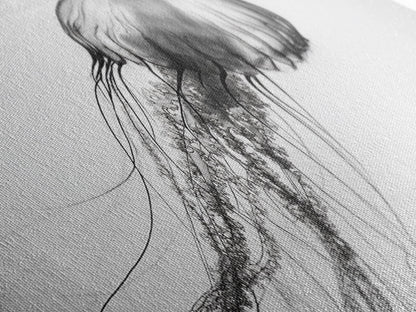 Quallen, Meeresströmung, Unterwasserwelt, Leinwanddruck, Wanddeko mit Meeresmotiven, Badezimmerkunst im Küstenstil, Minimalistische Meereskunst, Schwarz-Weiß