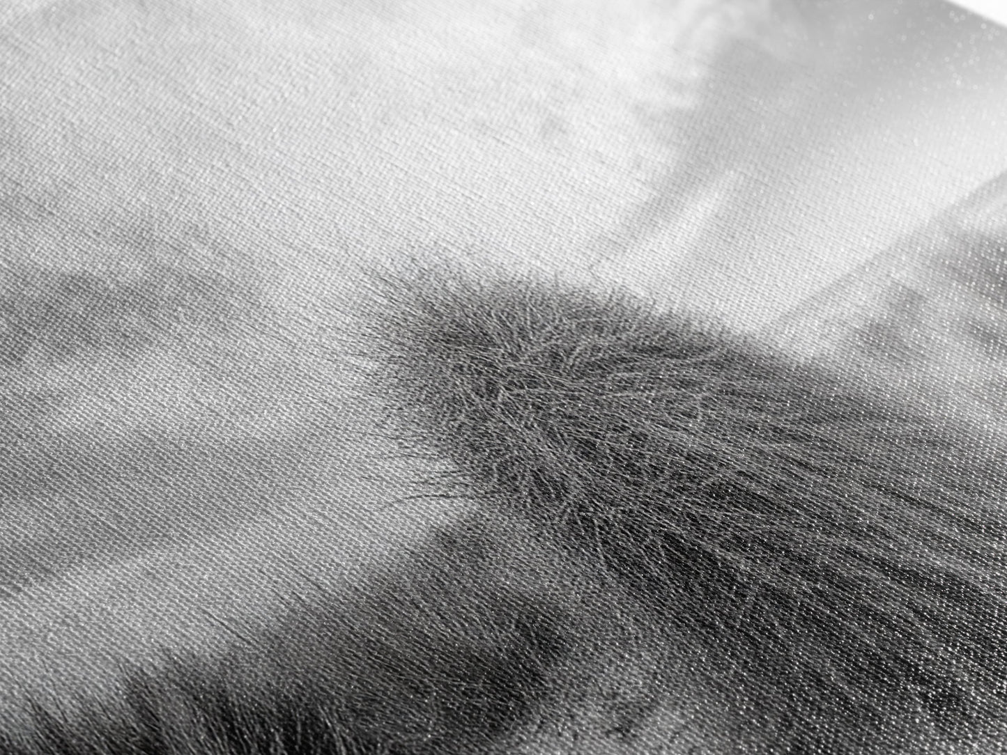 Beach Dunes, Coastal Grass, Nature Serenity, Canvas Print, Minimalist Bedroom Art, Soft Tones, Tranquil Beach Wall Decor