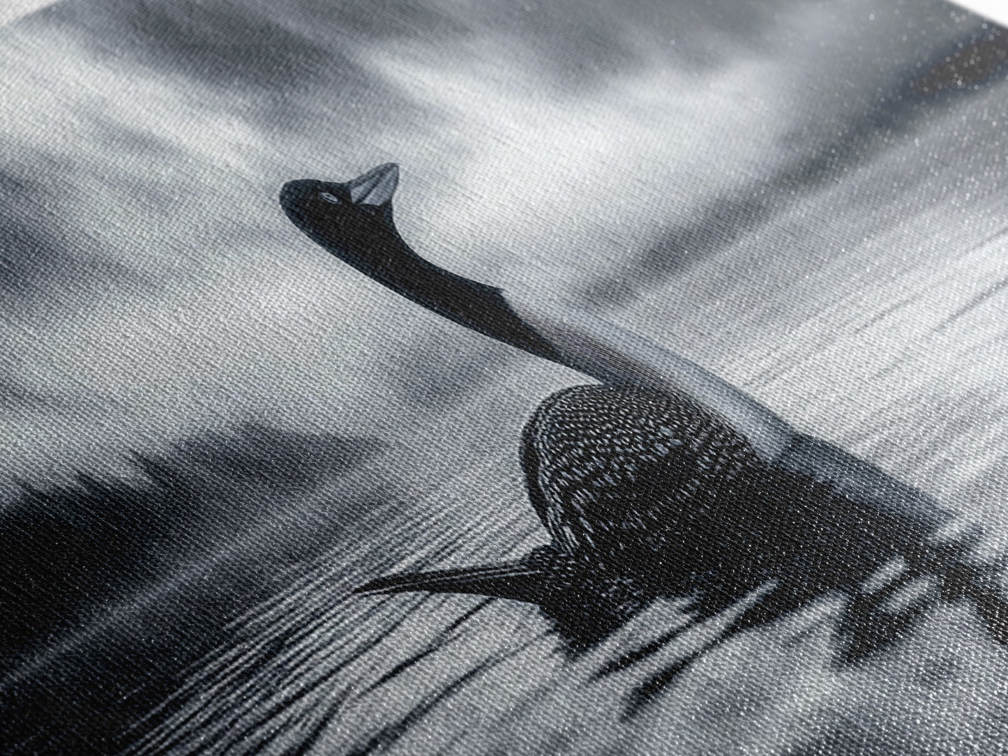 Northern Loon, Water Calm, Moody Wildlife, Canvas Print, Nature Wall Decor, Black and White Animal Art, Lakehouse Wall Art