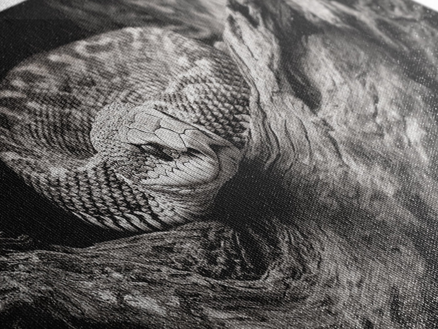 Coiled Rattlesnake, Wild Nature, Black and White, Canvas Print, Rustic Decor, Man Cave Wall Art, Cabin Style, Animal Photography, Moody Art