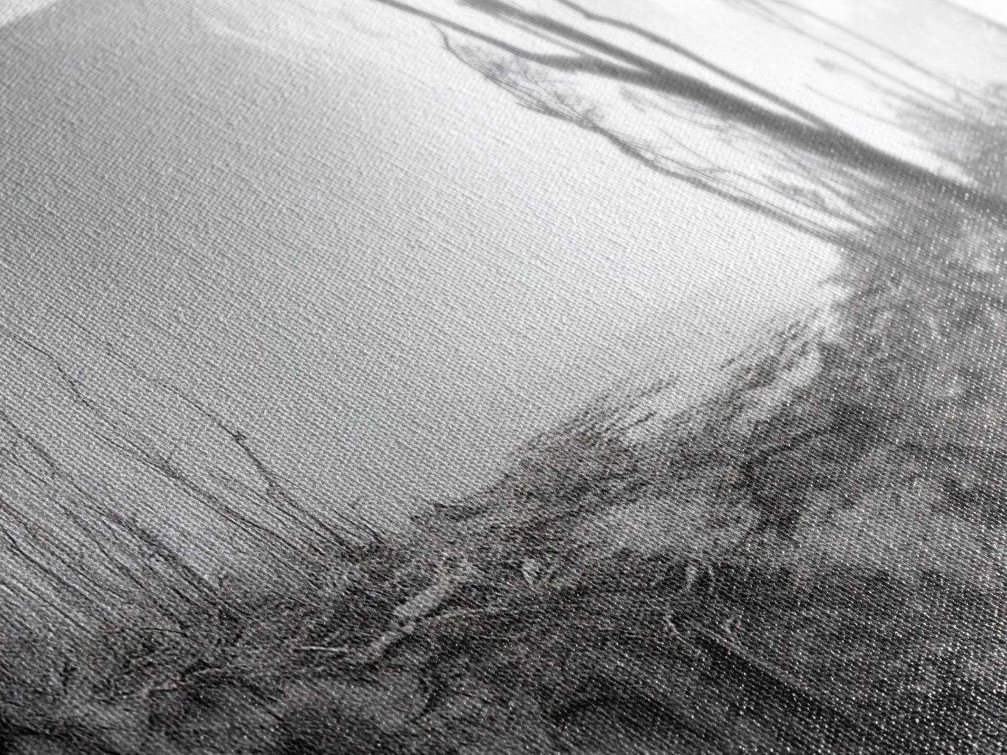 Windswept Coastal Trees, Driftwood Beach Landscape, Black White Canvas Print, Autumn Wall Art, Nature-Inspired Living Room Decor