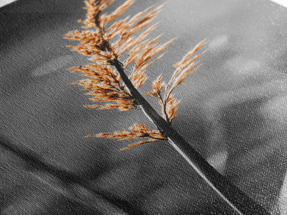 Autumn Grass, Botanical Print, Nature Photography, Single Stem, Canvas Print, Fall Wall Art, Neutral Home Decor, Minimalist Living Room Art