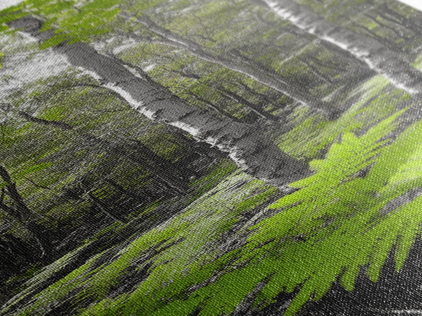 Birch Tree Forest, Green Ferns, Nature Escape, Framed Canvas Print, Botanical Art, Eco Wall Decor, Zen Forest Scene, Serene Living Room