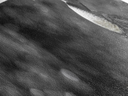 Black White Bird, Orange Beak Detail, Minimal Nature Portrait, Framed Canvas Print, Rustic Wall Art, Study or Cabin Decor