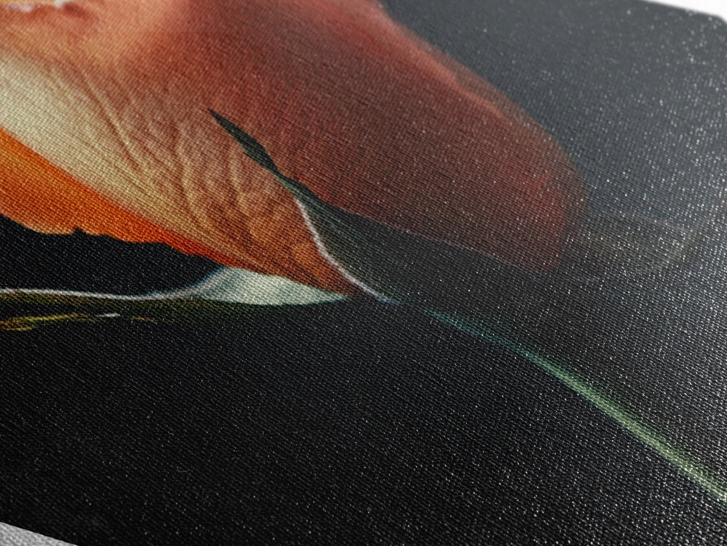 Soft Peach Rose Diamond Shaped Canvas Embossed Print, Floral Minimalist Wall Art, Romantic Moody Botanical Fine Decor