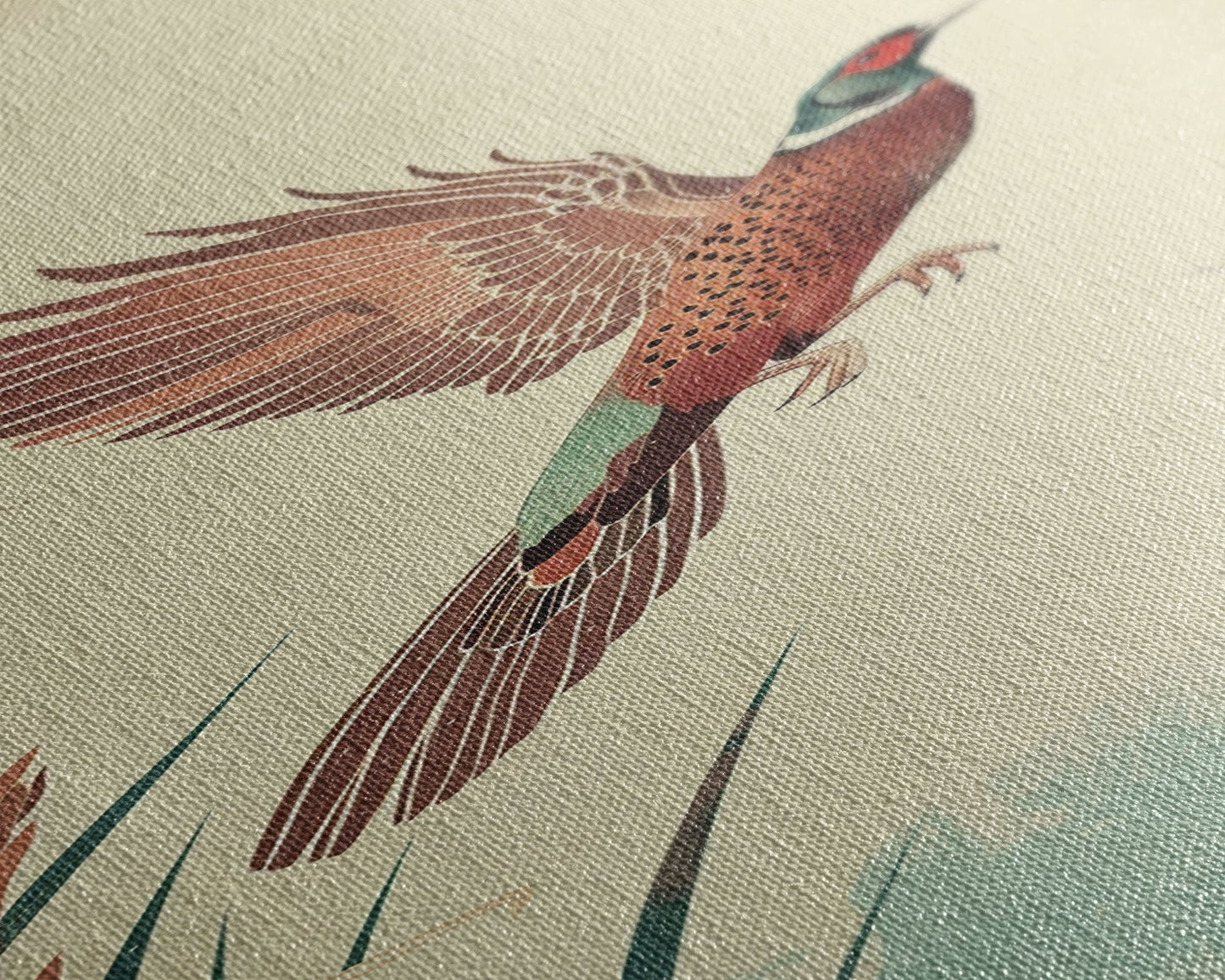 Japanese Skinny Art of Pheasant in Flight with Graceful Wings and Earthy Tones – Framed Canvas Print