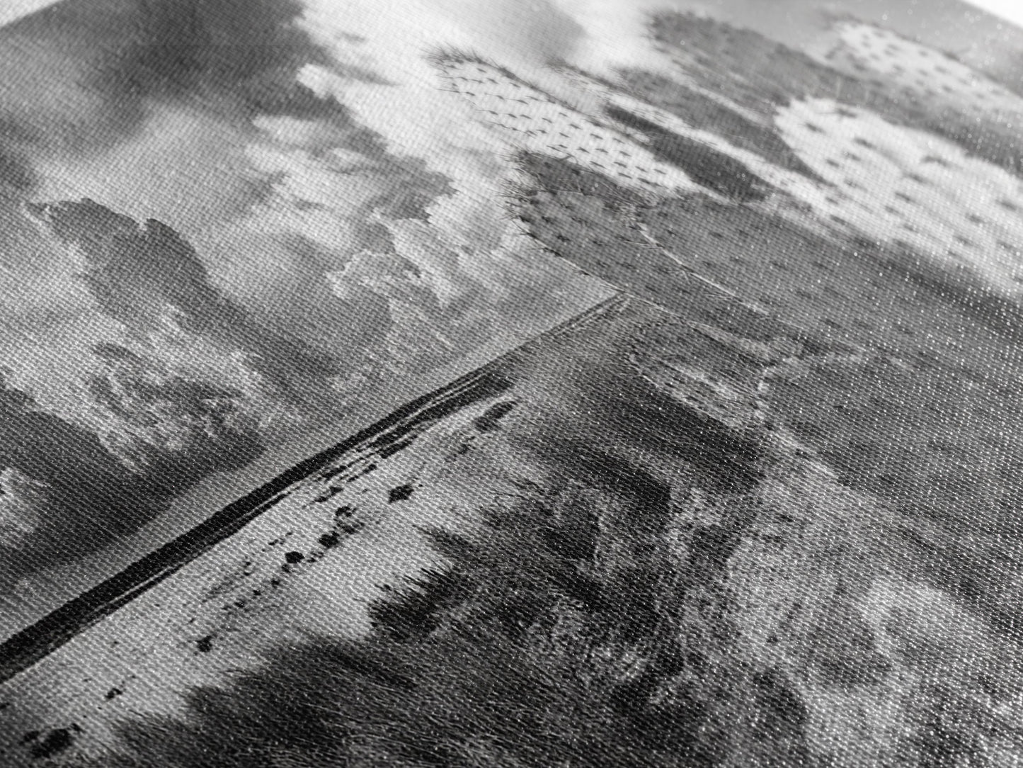 Desert Landscape, Joshua tree art, rustic decor, botanical prints, scenic view, panoramic art, southwest wall art, Canvas Print