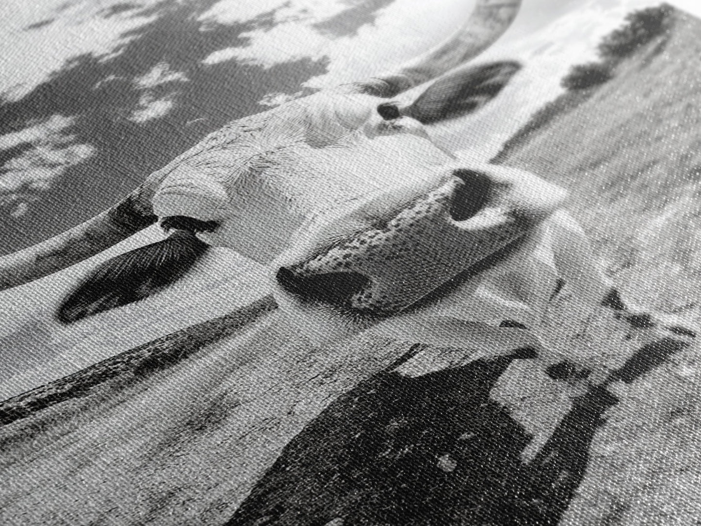 Texas Longhorn Close-up, bull and bear art, western decor, farmhouse art, rustic wall art, cowboy painting, framed canvas print