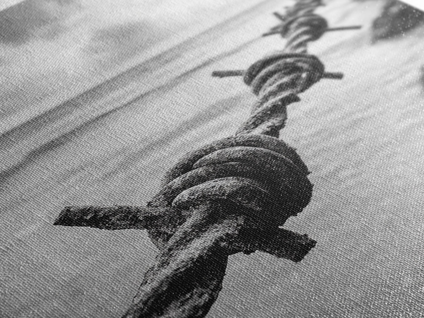 Barbed Wire, ocean view, rustic decor, coastal cowgirl wall art, wabi sabi art, moody photography, framed canvas print, minimalist art