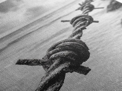 Barbed Wire, ocean view, rustic decor, coastal cowgirl wall art, wabi sabi art, moody photography, framed canvas print, minimalist art