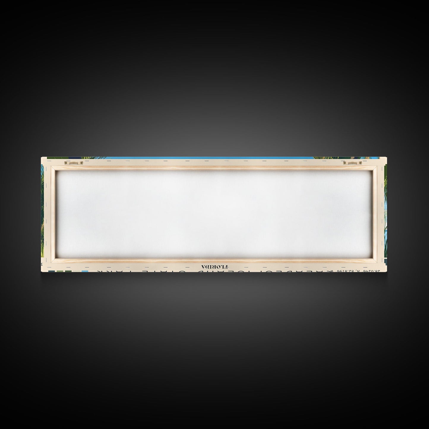 Caladesi Island State Park, Florida Panoramic Print, Vacation Gift, Florida Wall Art, Vacation Wall Art, Vacatation Memories, Beach Decor, Beach Or Lakehouse Art